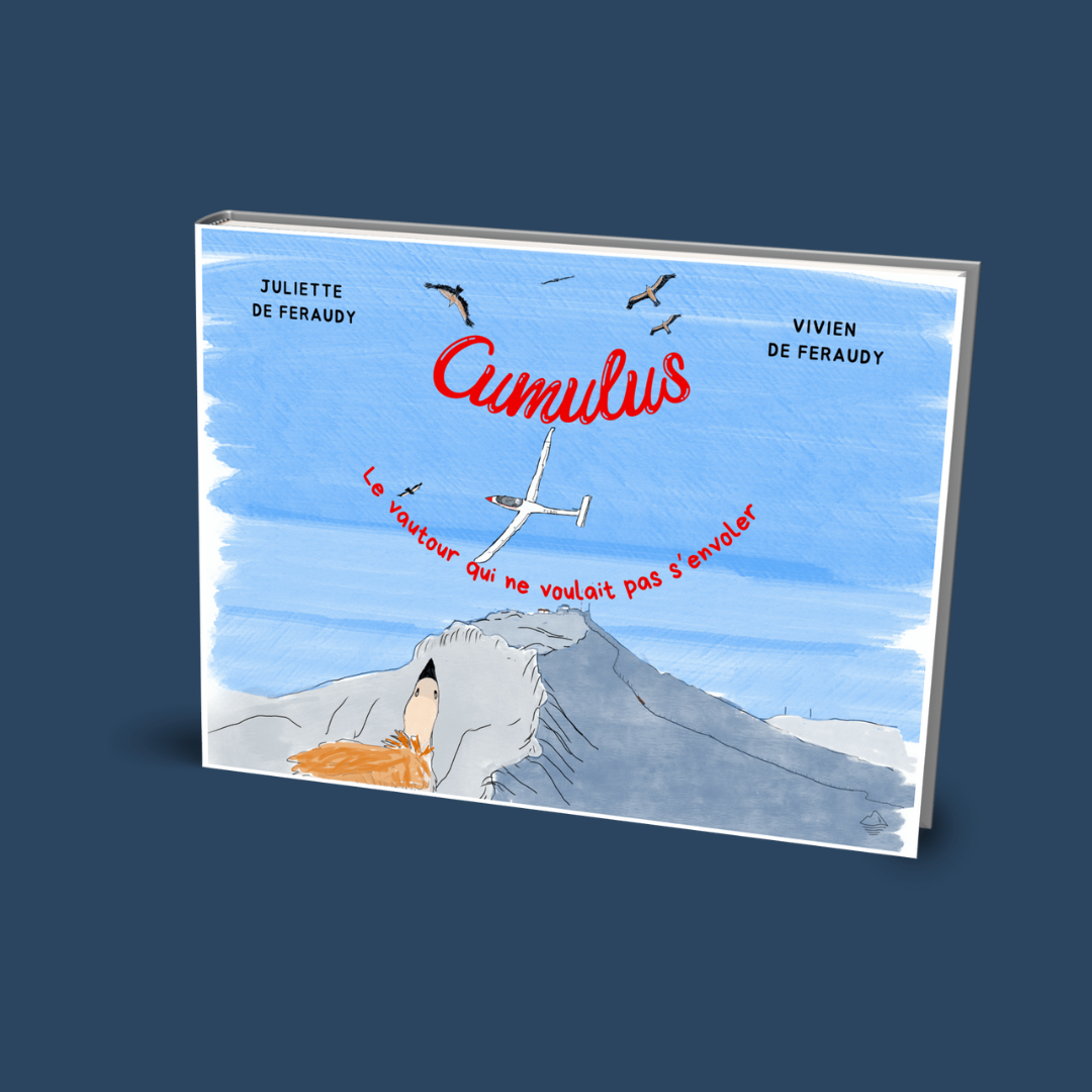 Album jeunesse Cumulus le vautour qui ne voulait pas s'envoler, Juliette de Feraudy