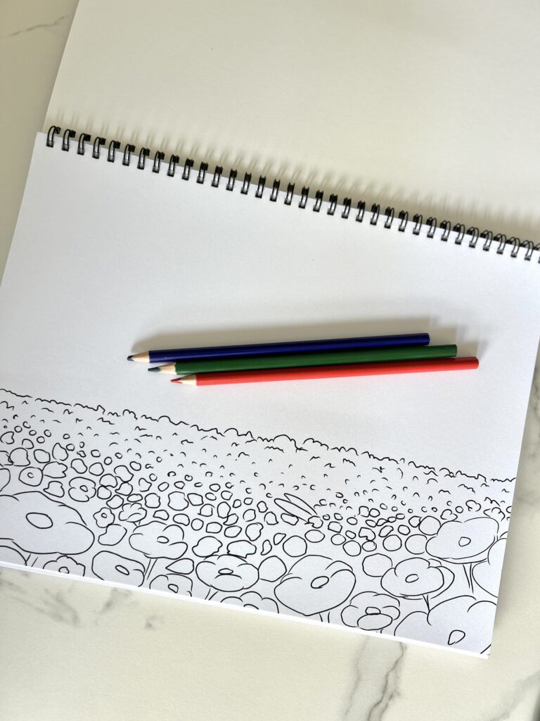 Livre de coloriage et dessins Le lapin qui n'aimait les carottes