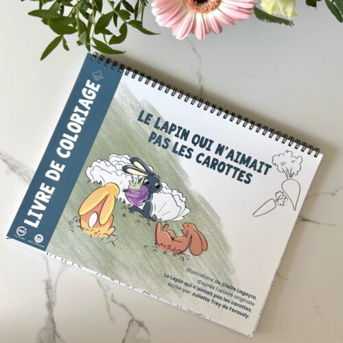 livre de coloriage et dessins