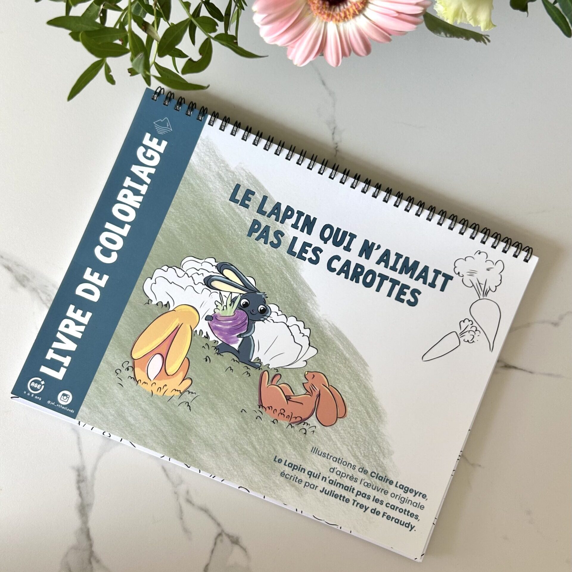 livre de coloriage et dessins