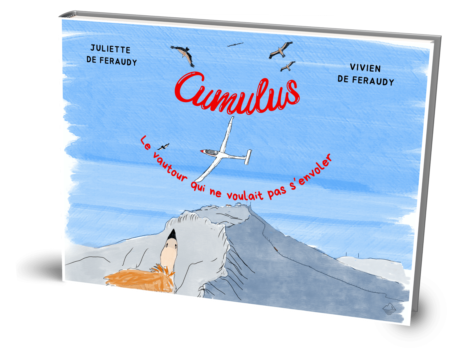 Album jeunesse Cumulus, le vautour qui ne voulait pas s'envoler, de Juliette de Feraudy