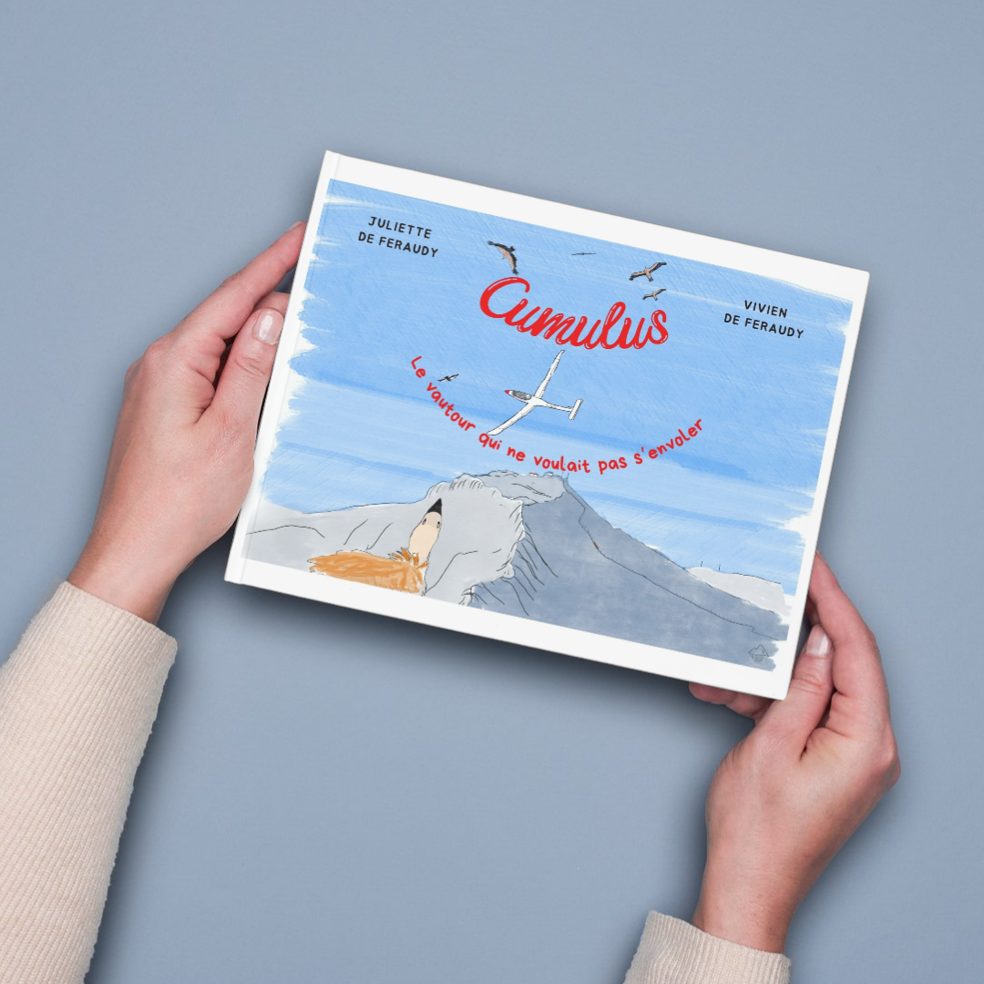 Cumulus, le vautour qui ne voulait pas s'envoler, livre illustré pour les enfants de 4 à 8 ans