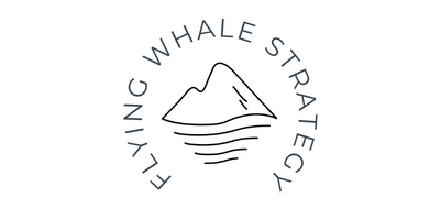 Flying Whale Strategy by Juliette de Feraudy, copywriter freelance pour les entreprises